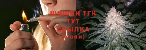 mdpv Няндома