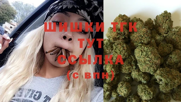 ECSTASY Бронницы