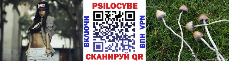 закладка  Инза  Галлюциногенные грибы GOLDEN TEACHER 