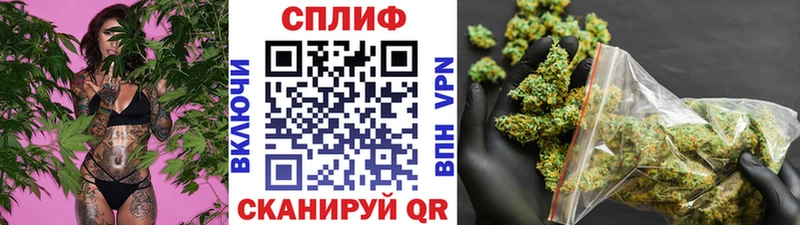 где можно купить Инза Конопля индика